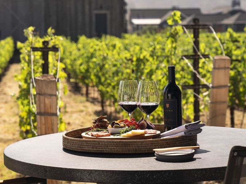 Vineyard Rejuvenation at Wine Country Wellness