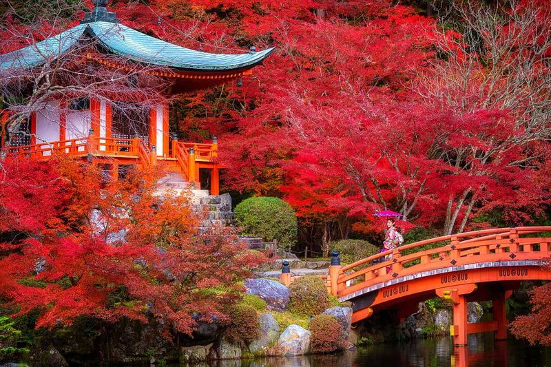 Kyoto, Japan in Autumn (First Sight Stunner)
