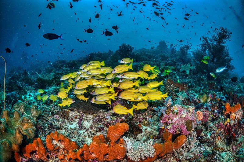 Raja Ampat, Indonesia