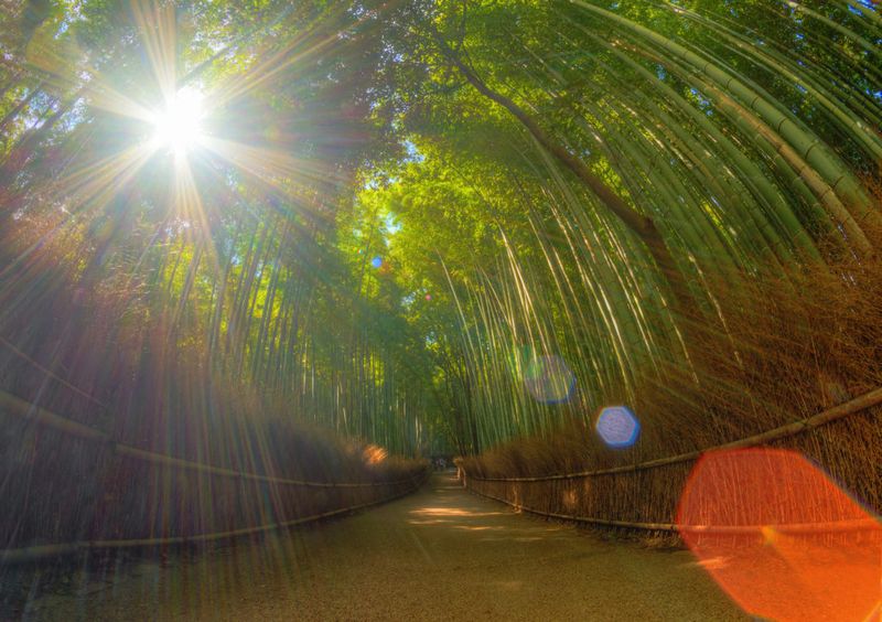 Kyoto's Secret Gardens Made Time Stand Still