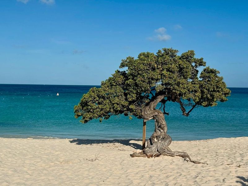 Aruba: Desert Island Dreams Come True