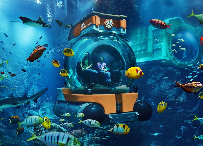 Dubai's Underwater Kingdom Makes Waves