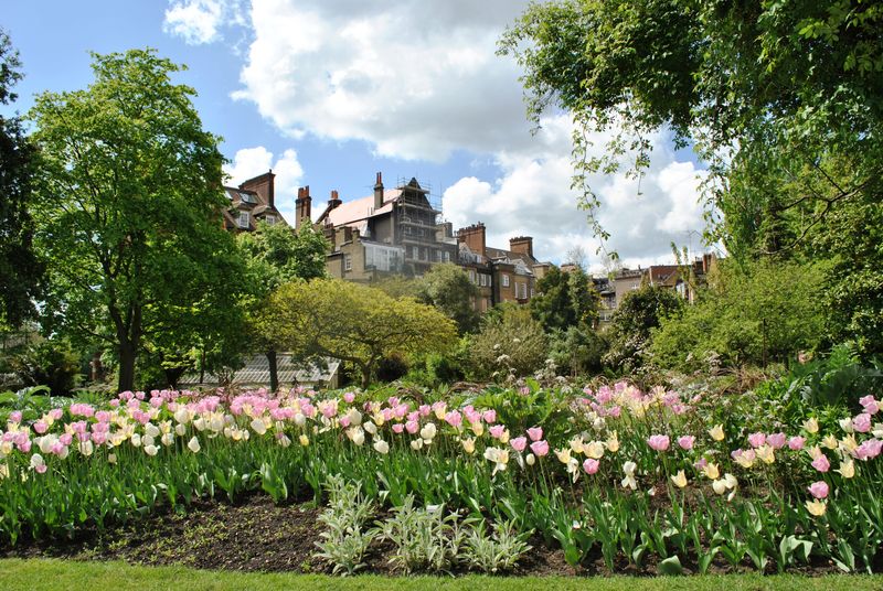 The Chelsea Physic Garden – London, UK