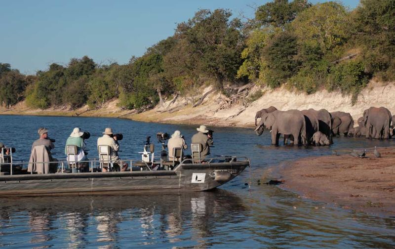 Chobe National Park