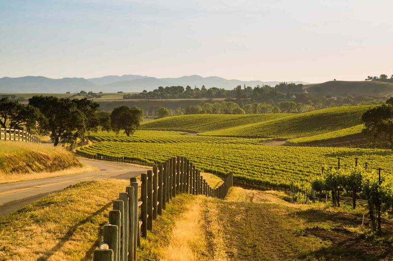 Santa Ynez Valley's Ranch Experiences