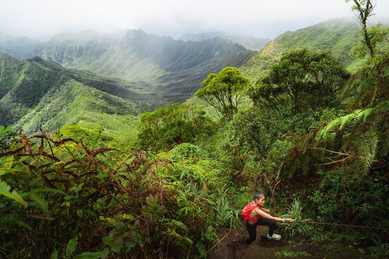 Mount Kaʻala Summit