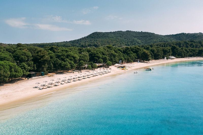 Skiathos: Pine-Fringed Beaches of the Sporades