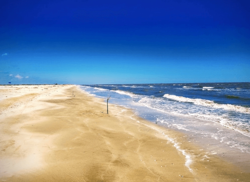 Louisiana – Rutherford Beach