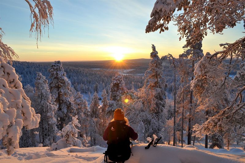 Finland's Forest Silence
