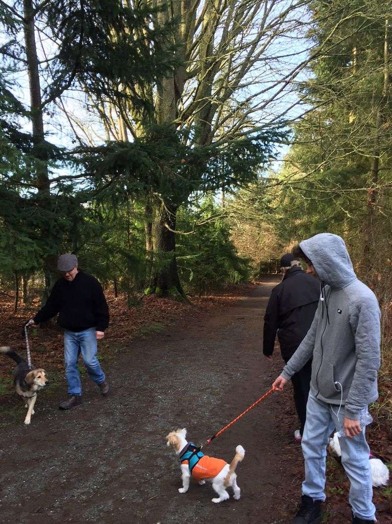 Seattle, WA – Puget Sound trails