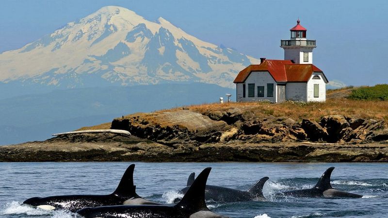 San Juan Island, Washington