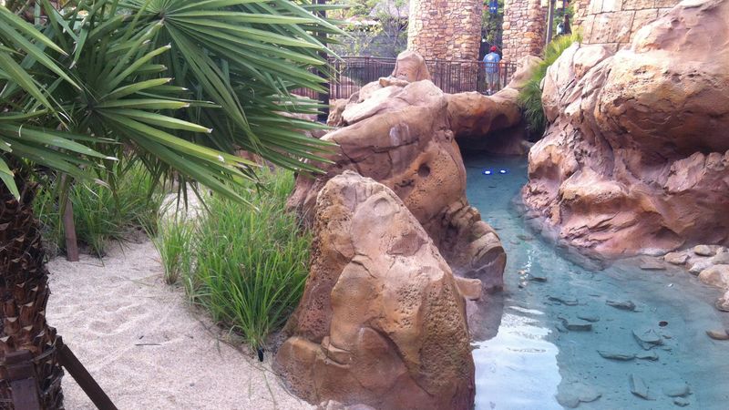 Watch for Hidden Mickeys
