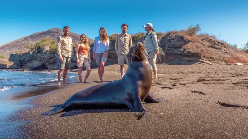 Galápagos Wildlife Encounters (Unforgettable)