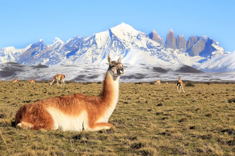Patagonia, Chile And Argentina