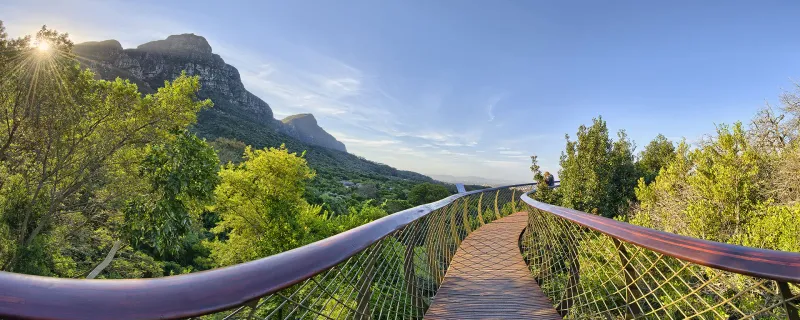 Cape Town, South Africa: Where Table Mountain Reigns