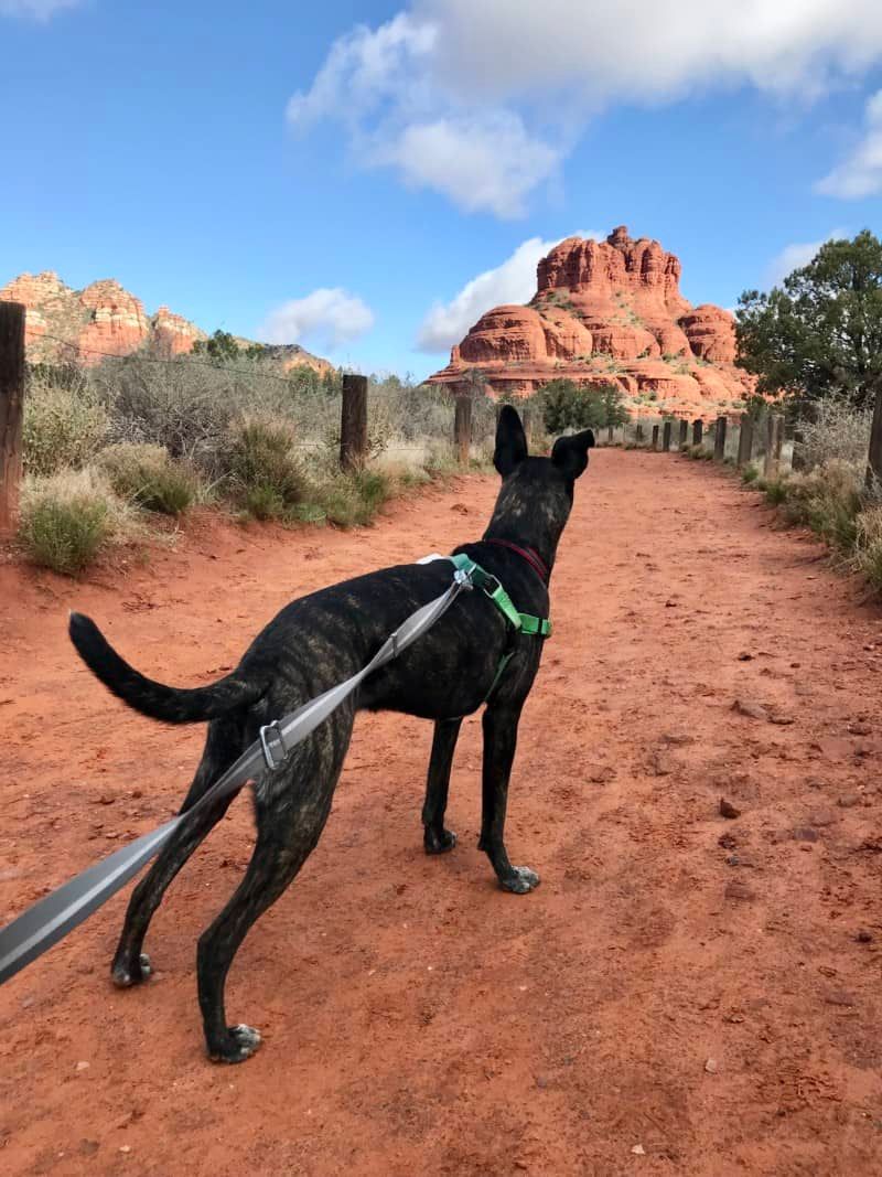 Sedona, AZ – Scenic red rock hikes
