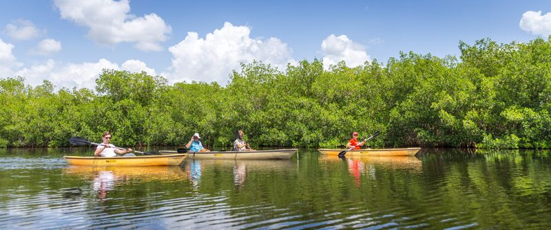 Everglades National Park, Florida