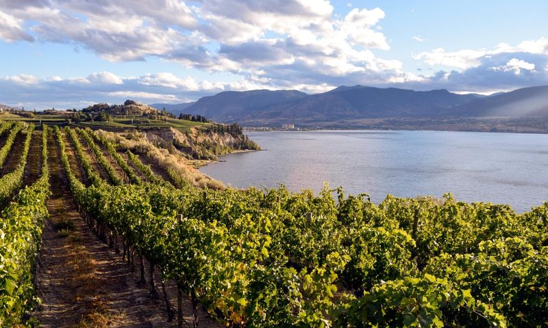 Okanagan Valley Cruise