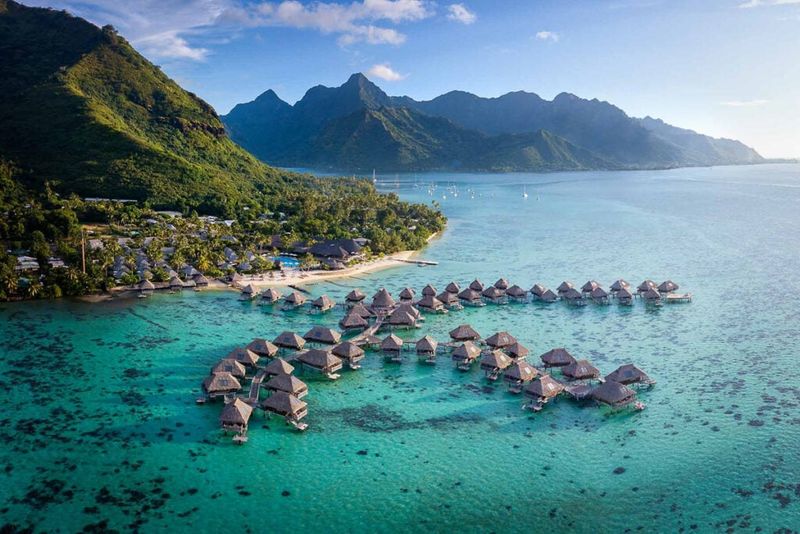 Island Escape at Tropical Wellness Sanctuary