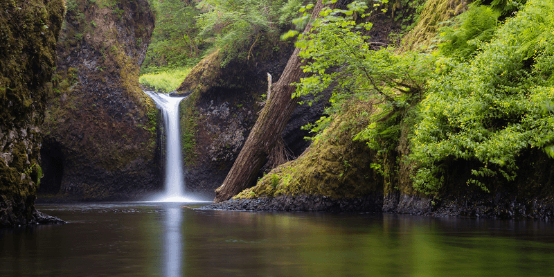 Punch Bowl Falls - Nature's Perfect Swimming Hole