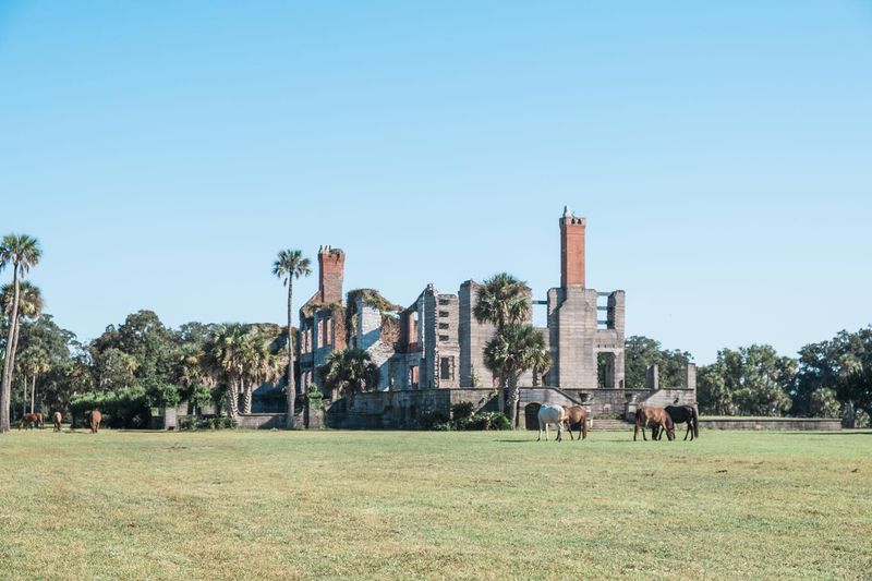 Cumberland Island, Georgia
