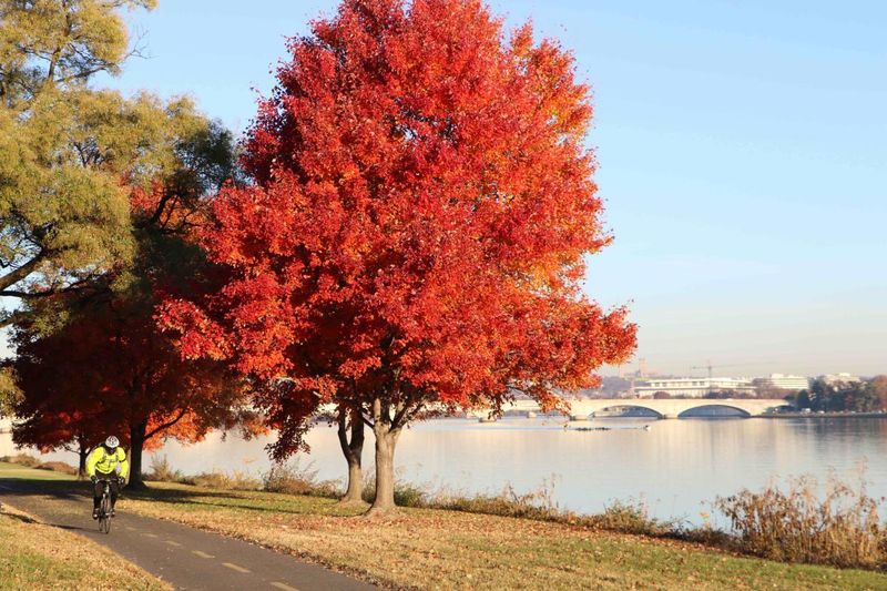 George Washington Memorial Parkway (Virginia)