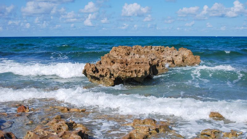 Coral Cove Park