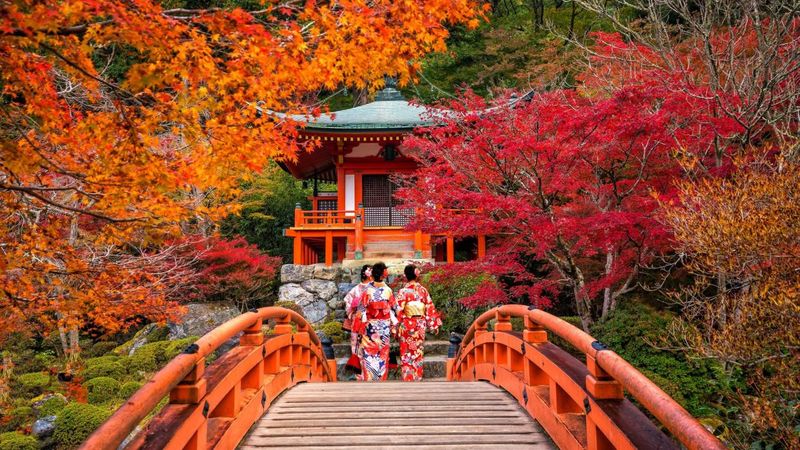 Kyoto Again, Always