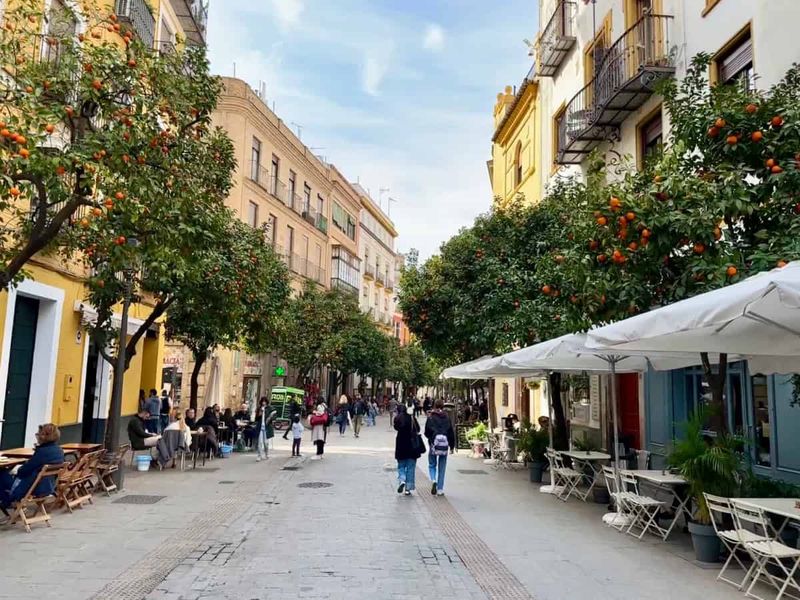 Seville's Orange-Scented Streets Made Me Consider Moving