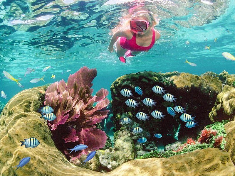 Miami Dolphins – Florida Keys, FL
