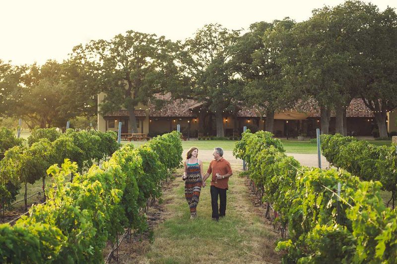 Hill Country Wine Hikes