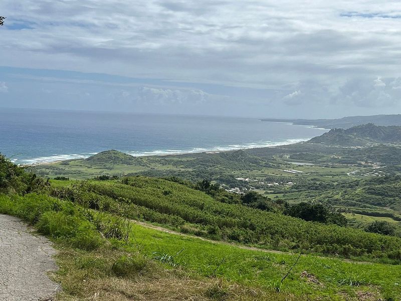 Underwhelming Views in Barbados