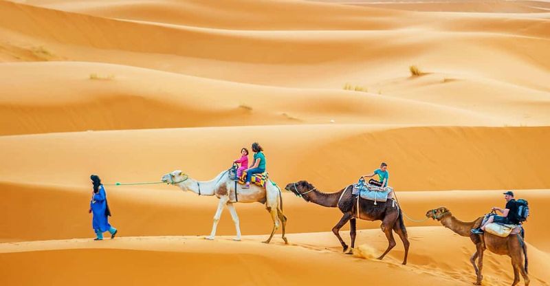 Camel Treks With High-End Touches