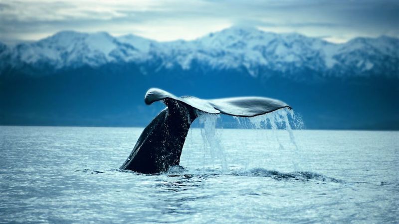 Kaikoura, New Zealand