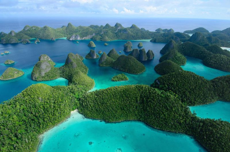 Raja Ampat, Indonesia: Future Hotspot of Marine Biodiversity