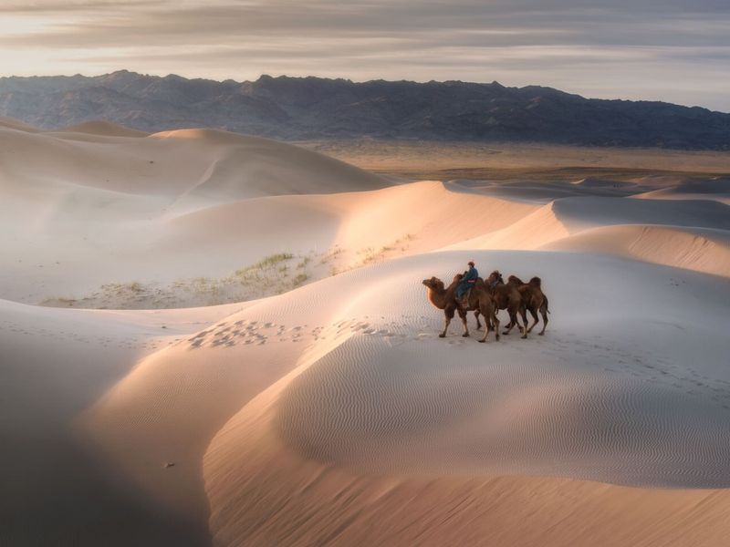 Mongolia's Gobi Desert