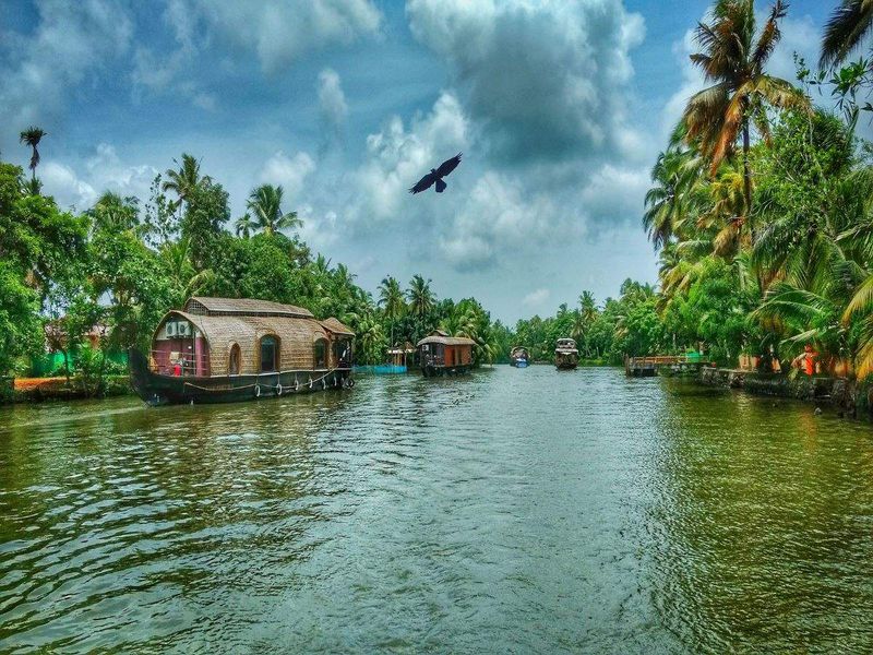Kerala Backwater Calm