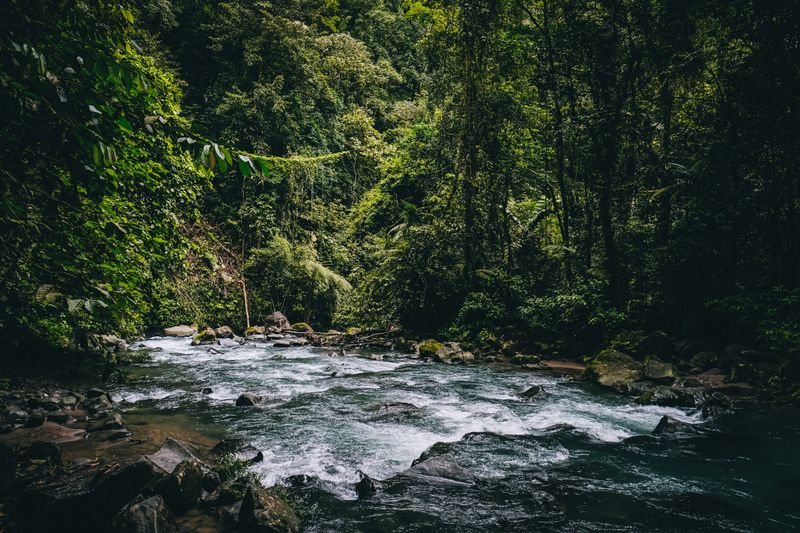 Costa Rica Rain Detox