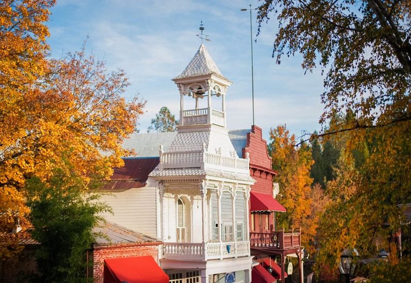 Nevada City Woodland Vibes