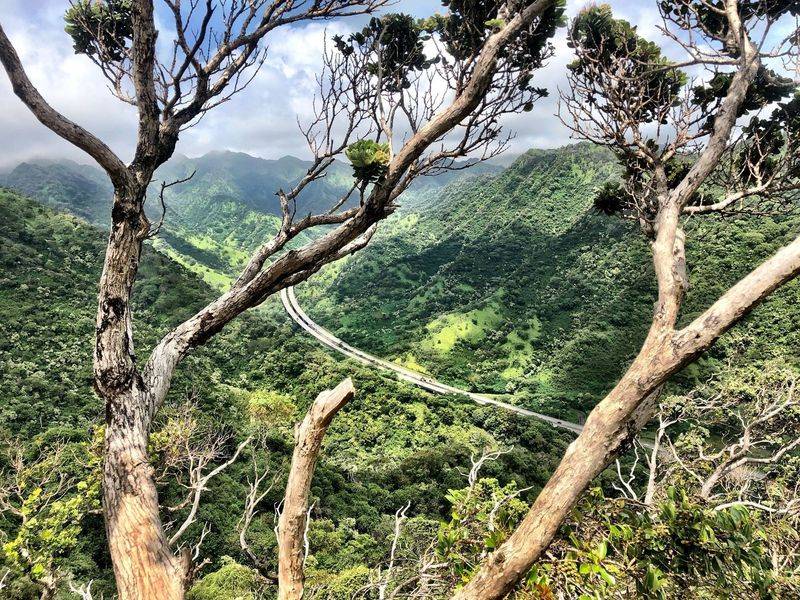 ʻAiea Loop Trail