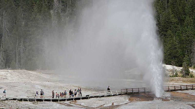 Geysers at Yellowstone