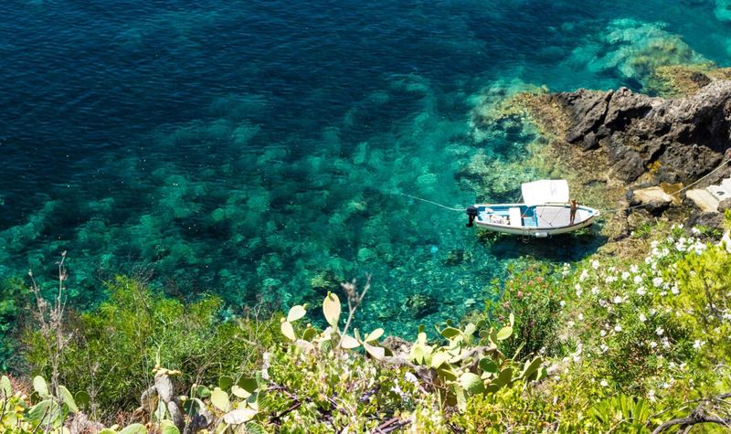 Ustica's Underwater Marine Reserve