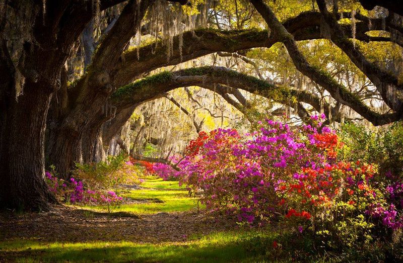 Beaufort Southern Charm