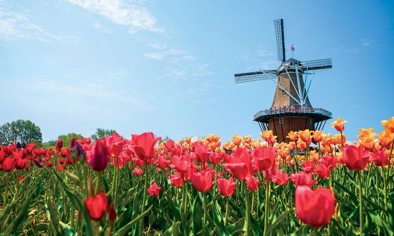 Michigan - Tulip Time Festival
