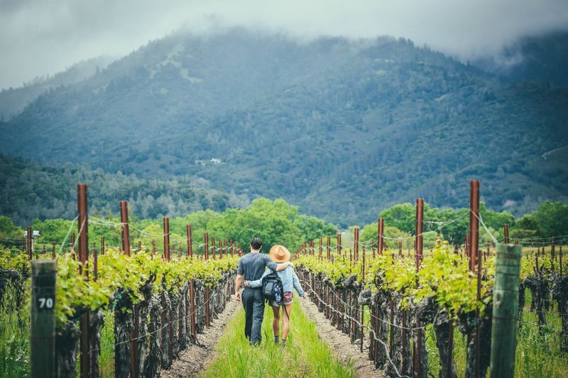 Napa Valley's Wine Country Escape