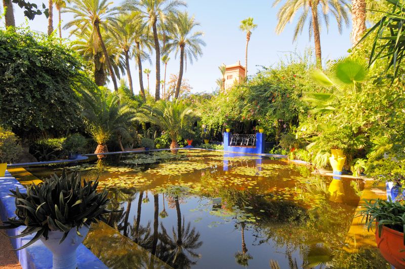 Jardin Majorelle – Marrakesh, Morocco