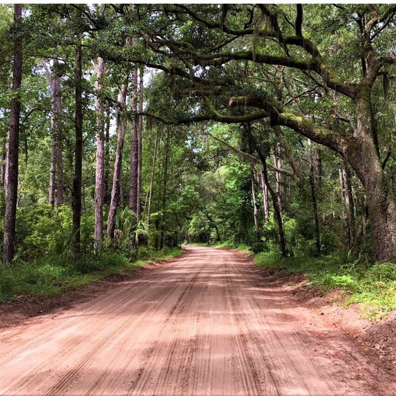 Gullah Culture Exploration, South Carolina