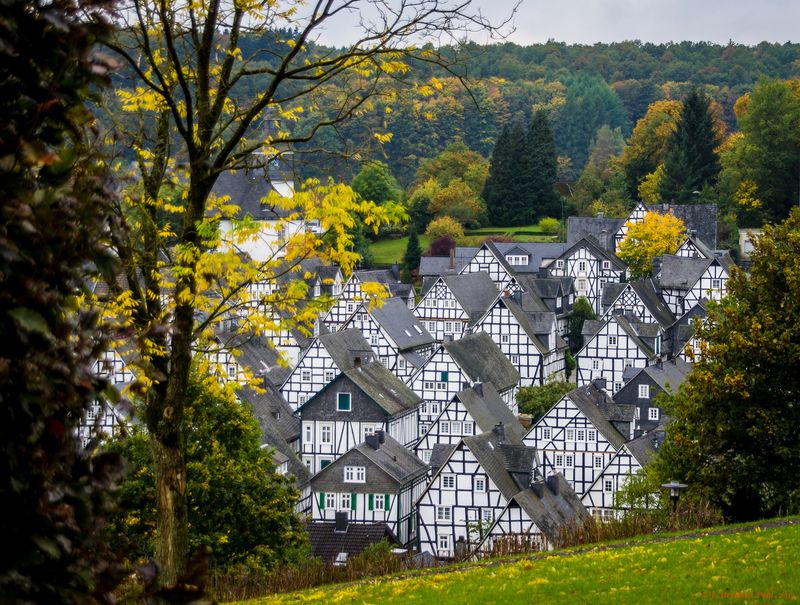 Freudenberg