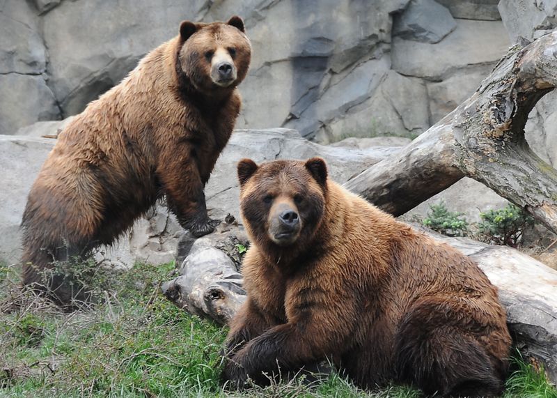 Brookfield Zoo – Brookfield, Illinois