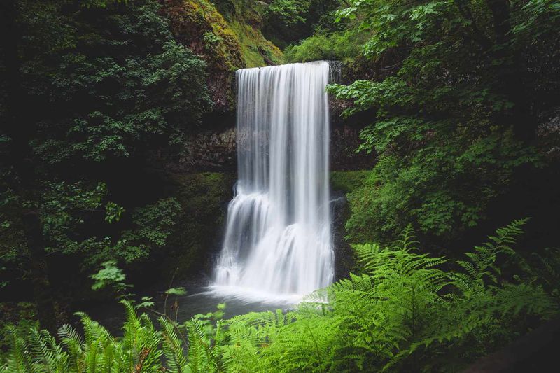 Oregon Nature Lover’s Dream